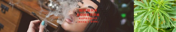 каннабис Аркадак
