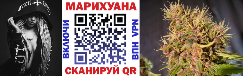 Бошки марихуана конопля  Пудож 